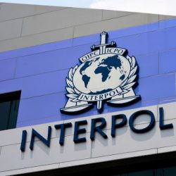 Головним завданням Інтерполу є встановлення місцезнаходження розшукуваних осіб з метою їх затримання, арешту та подальшої видачі