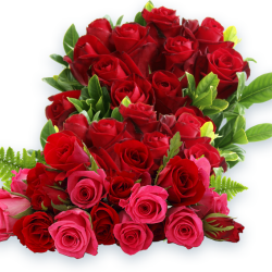 Вітаємо Фою Олену Володимирівну!